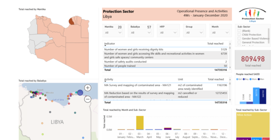 Libya:  Protection Sector and Sub-Sectors 4W Dashboard