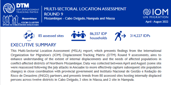 Mozambique Assessments