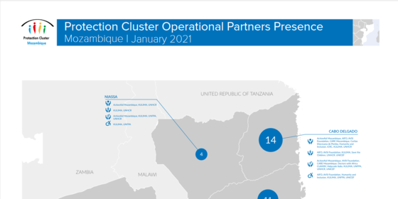 Mozambique: Protection Cluster Operational Partners Presence