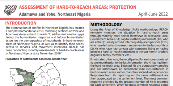 Nigeria Protection Assessment screenshot