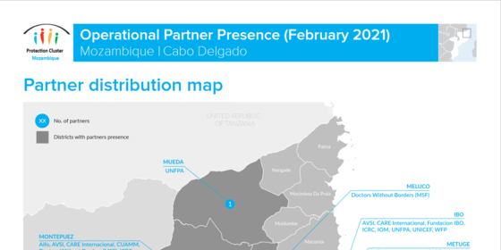 Mozambique: Cabo Delgado Protection Cluster Operational Partners Presence