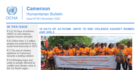 Cameroon Humanitarian Bulletin