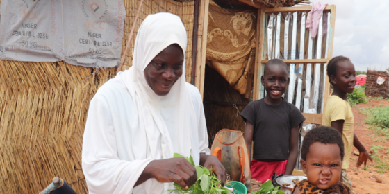 Niger : Aperçu des Besoins Humanitaires 2023 (janvier 2023)