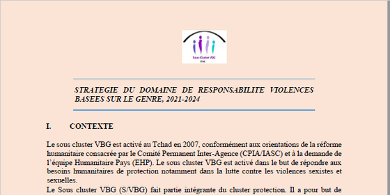 Document : Stratégie du domaine de responsabilité VBG