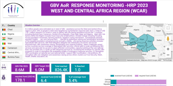 GBV Monitoring Dashboard