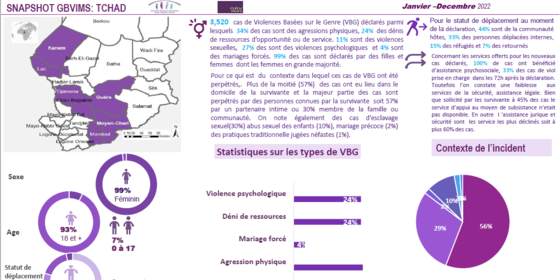 Snapshot GBVIMS : Tchad (janvier - décembre 2022)