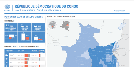 Capture d'ecran de l'infographie