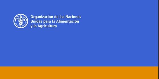 FAO El fenómino de El Niño en agricultura, ganadaría, pesca y acuicultura: prognósticos y recomendaciones  para la acción