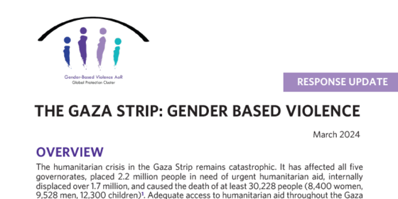 Read the report to learn more about the GBV-related needs and response efforts required to address the escalating risks and safeguard the well-being of women and girls in Gaza.