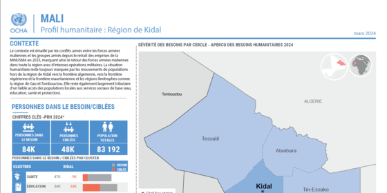 Profil de Kidal