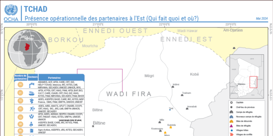 Présence opérationnelle à l’Est (Qui fait quoi et où?) Mai 2024