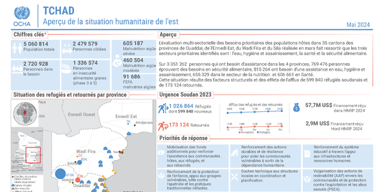 Aperçu de la situation humanitaire de l'Est