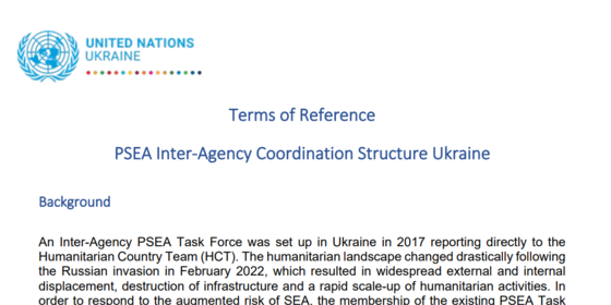 Ukraine PSEA TOR 2024